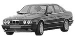 BMW E34 P1CC0 Fault Code
